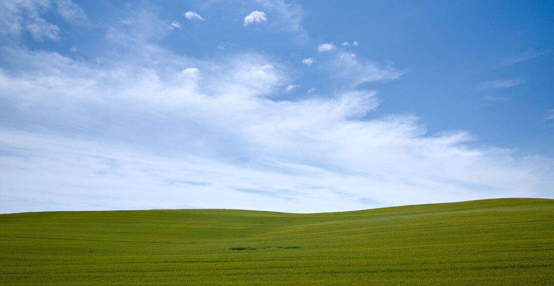 A green field below a blue sky with white clouds