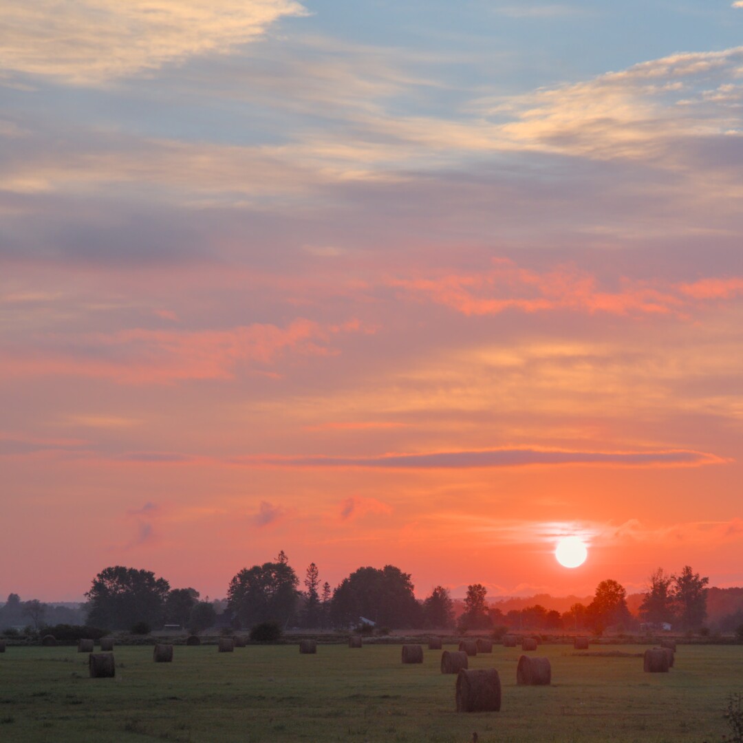 A field with round bales of hay under a salmon sunrise